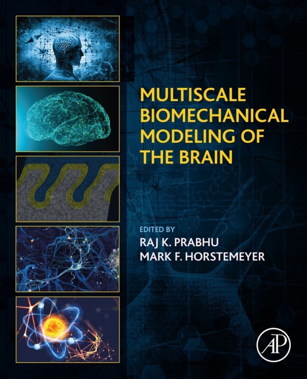 Multiscale Biomechanical Modeling of the Brain  â€“ PDF/EPUB Version Downloadable