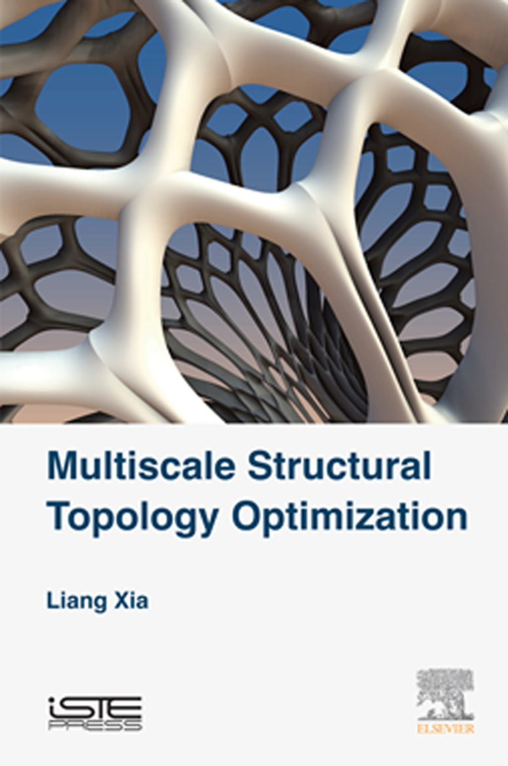 Multiscale Structural Topology Optimization  â€“ PDF/EPUB Version Downloadable
