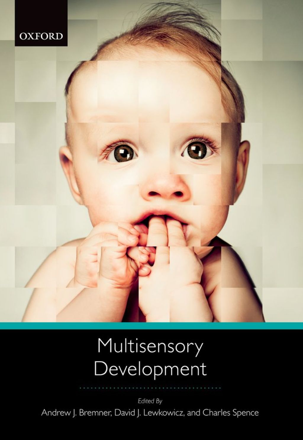 Multisensory Development 1st Edition â€“ PDF/EPUB Version Downloadable