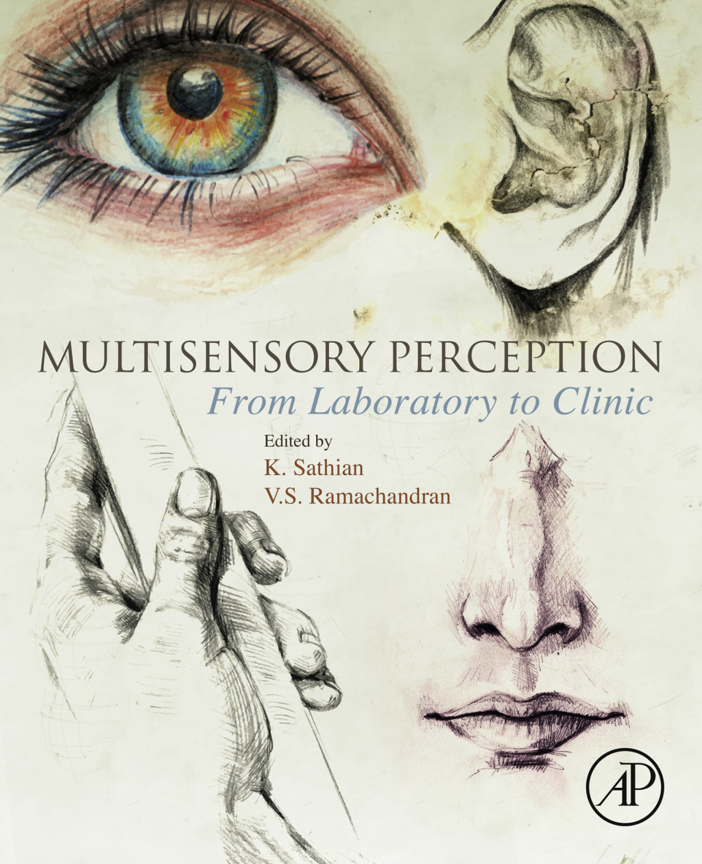 Multisensory Perception From Laboratory to Clinic  â€“ PDF/EPUB Version Downloadable