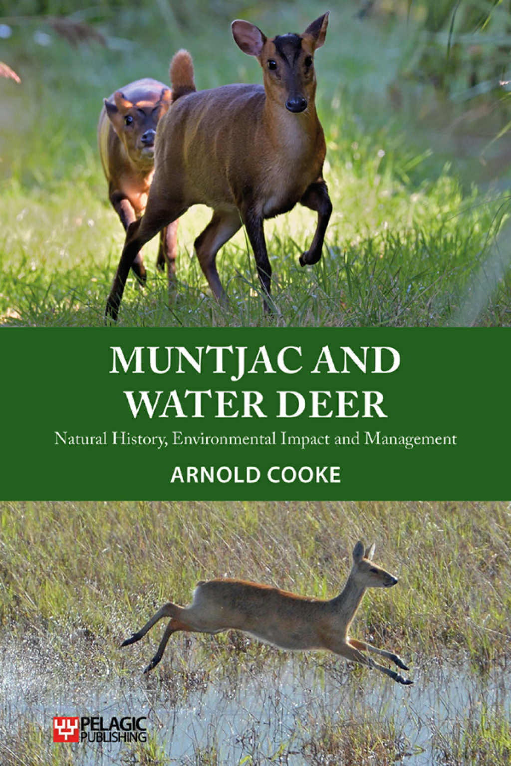 Muntjac and Water Deer Natural History, Environmental Impact and Management 1st Edition â€“ PDF/EPUB Version Downloadable