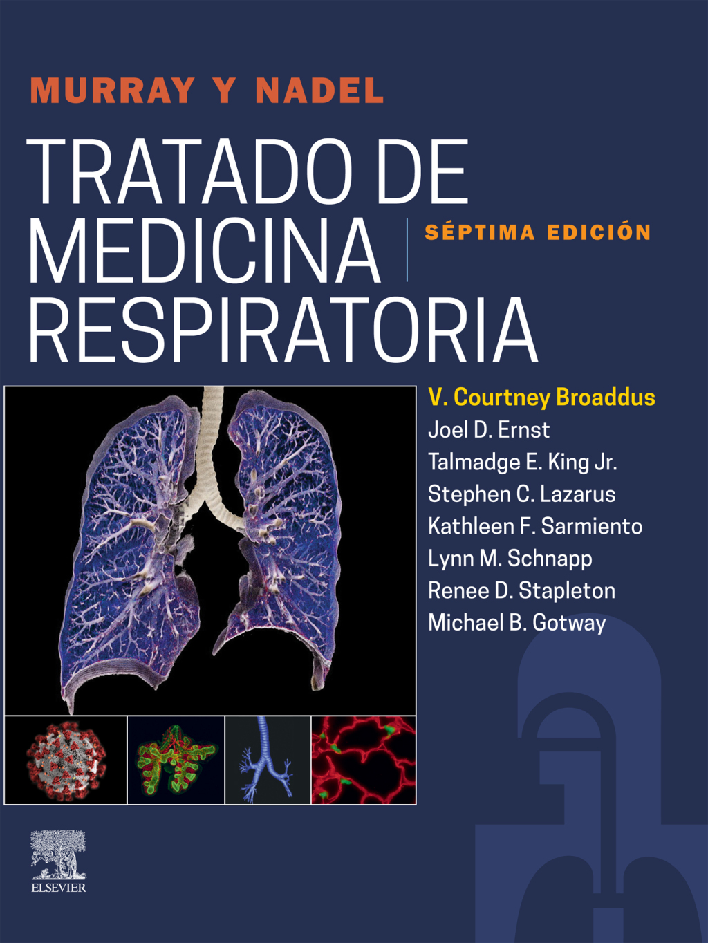 Murray y Nadel. Tratado de medicina respiratoria, 2 Vols 7th Edition â€“ PDF/EPUB Version Downloadable