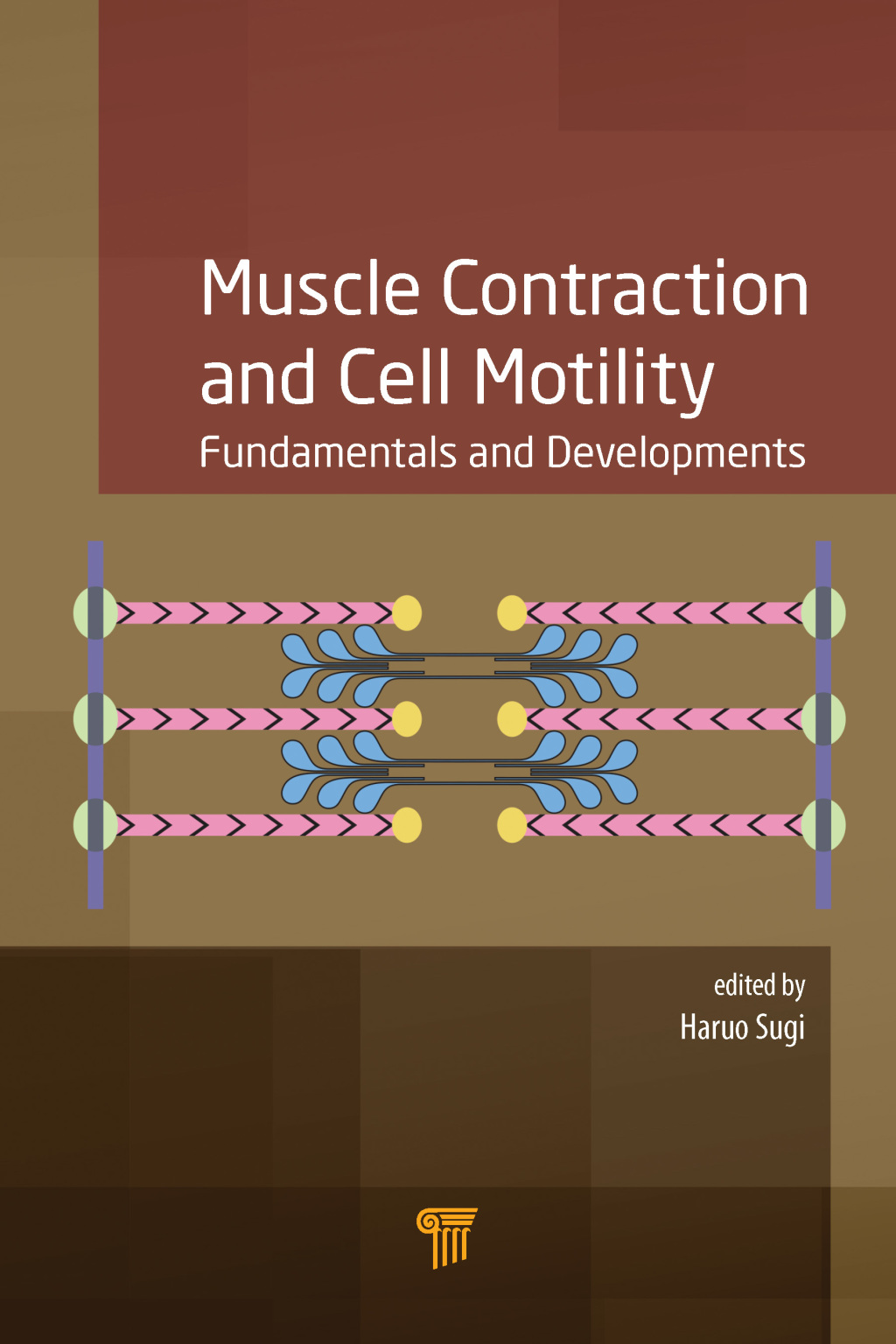 Muscle Contraction and Cell Motility Fundamentals and Developments 1st Edition â€“ PDF/EPUB Version Downloadable