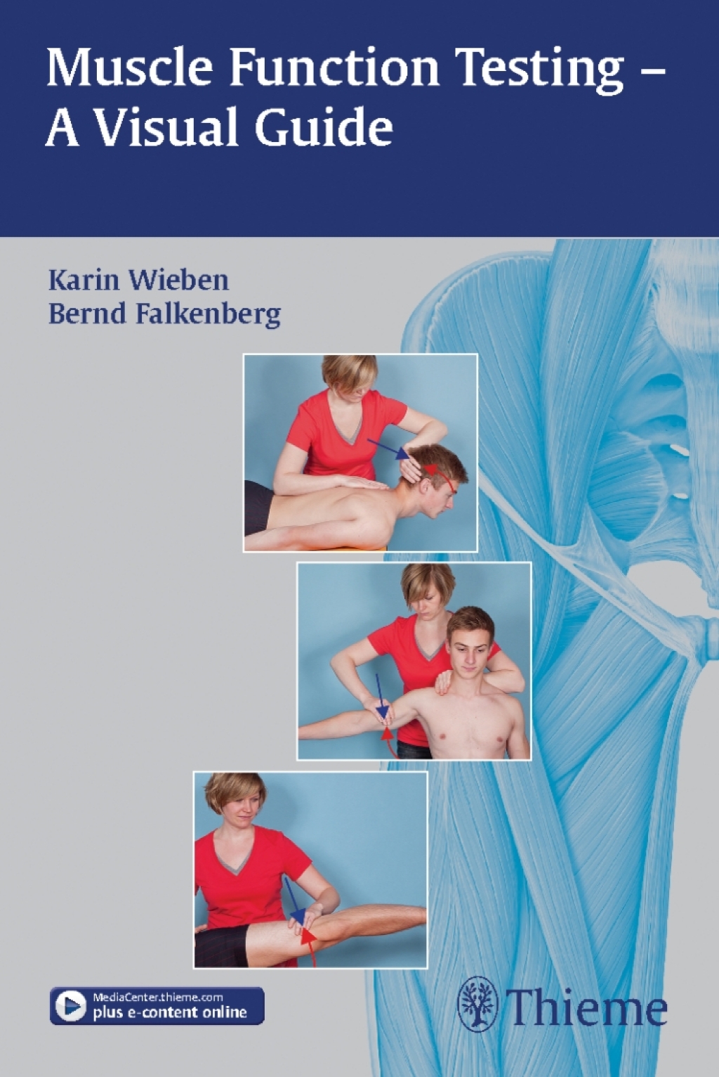 Muscle Function Testing - A Visual Guide 1st Edition â€“ PDF/EPUB Version Downloadable