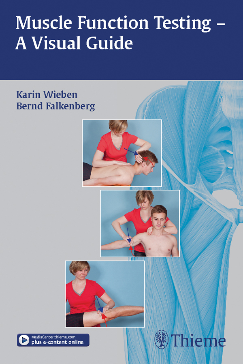 Muscle Function Testing - A Visual Guide 1st Edition â€“ PDF/EPUB Version Downloadable