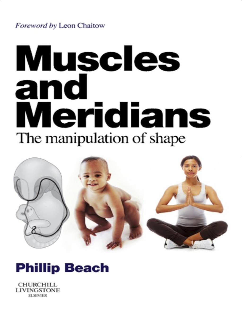 Muscles and Meridians The Manipulation of Shape  â€“ PDF/EPUB Version Downloadable