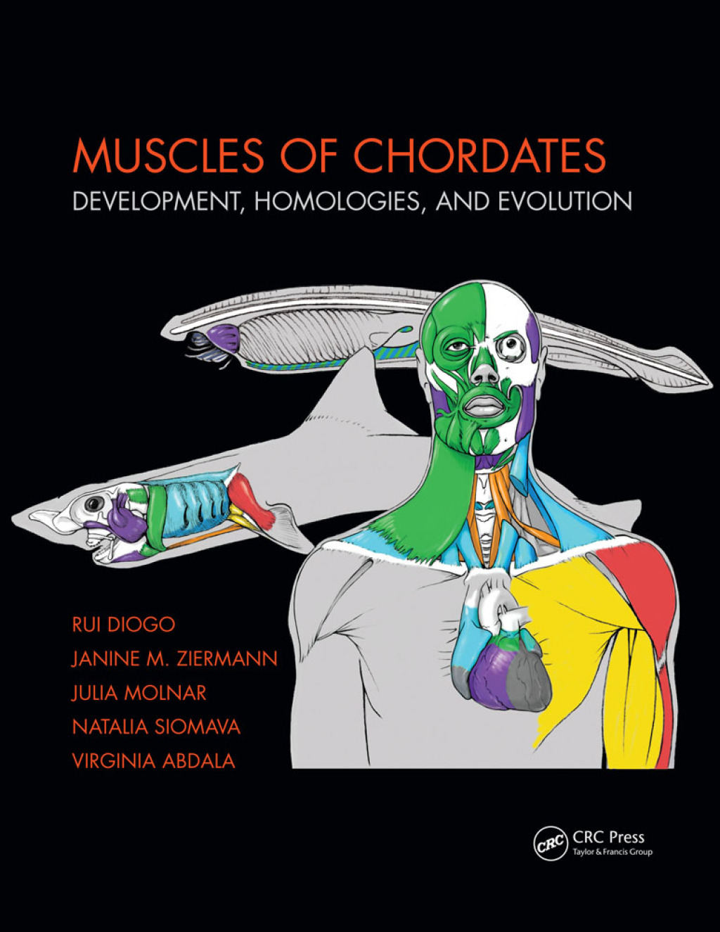 Muscles of Chordates Development, Homologies, and Evolution 1st Edition â€“ PDF/EPUB Version Downloadable