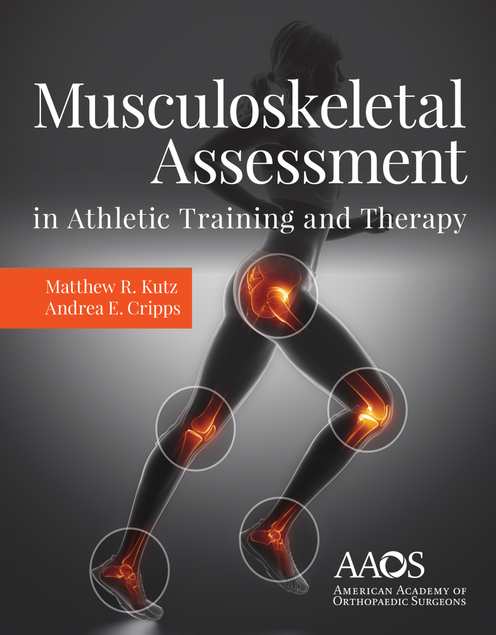 Musculoskeletal Assessment in Athletic Training and Therapy  â€“ PDF/EPUB Version Downloadable