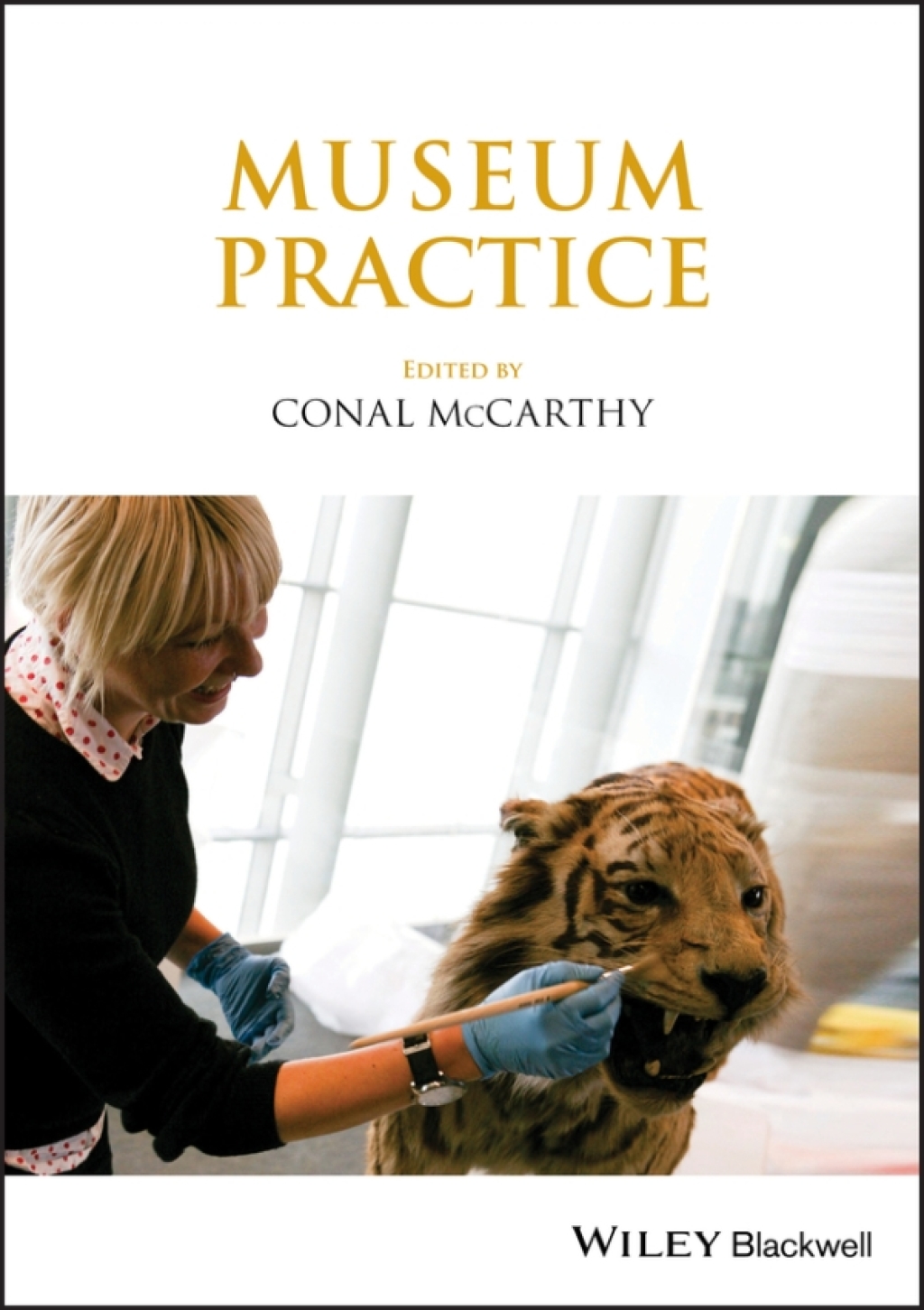 Museum Practice 1st Edition â€“ PDF/EPUB Version Downloadable