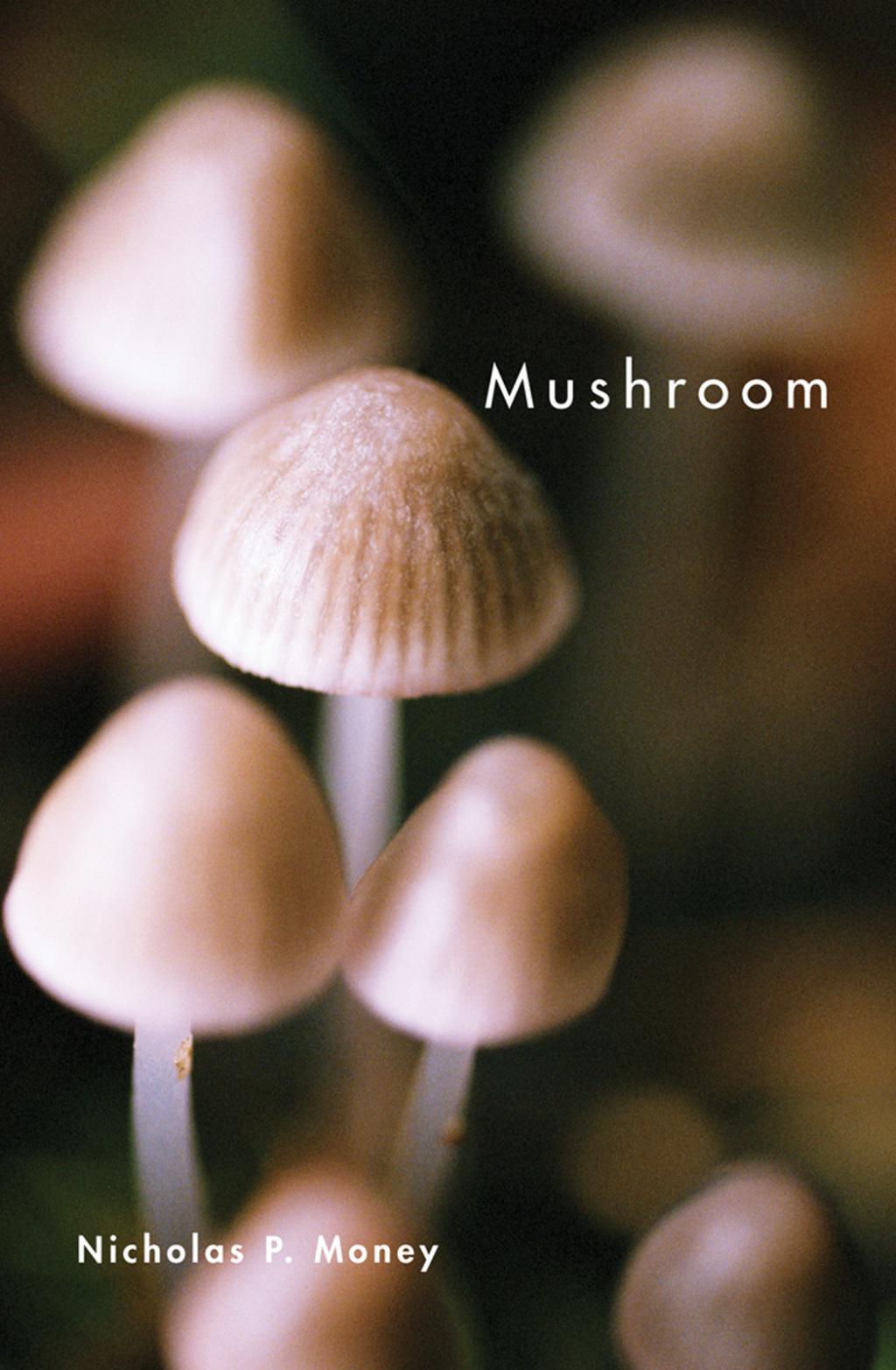 Mushroom - (PDF/EPUB Version)