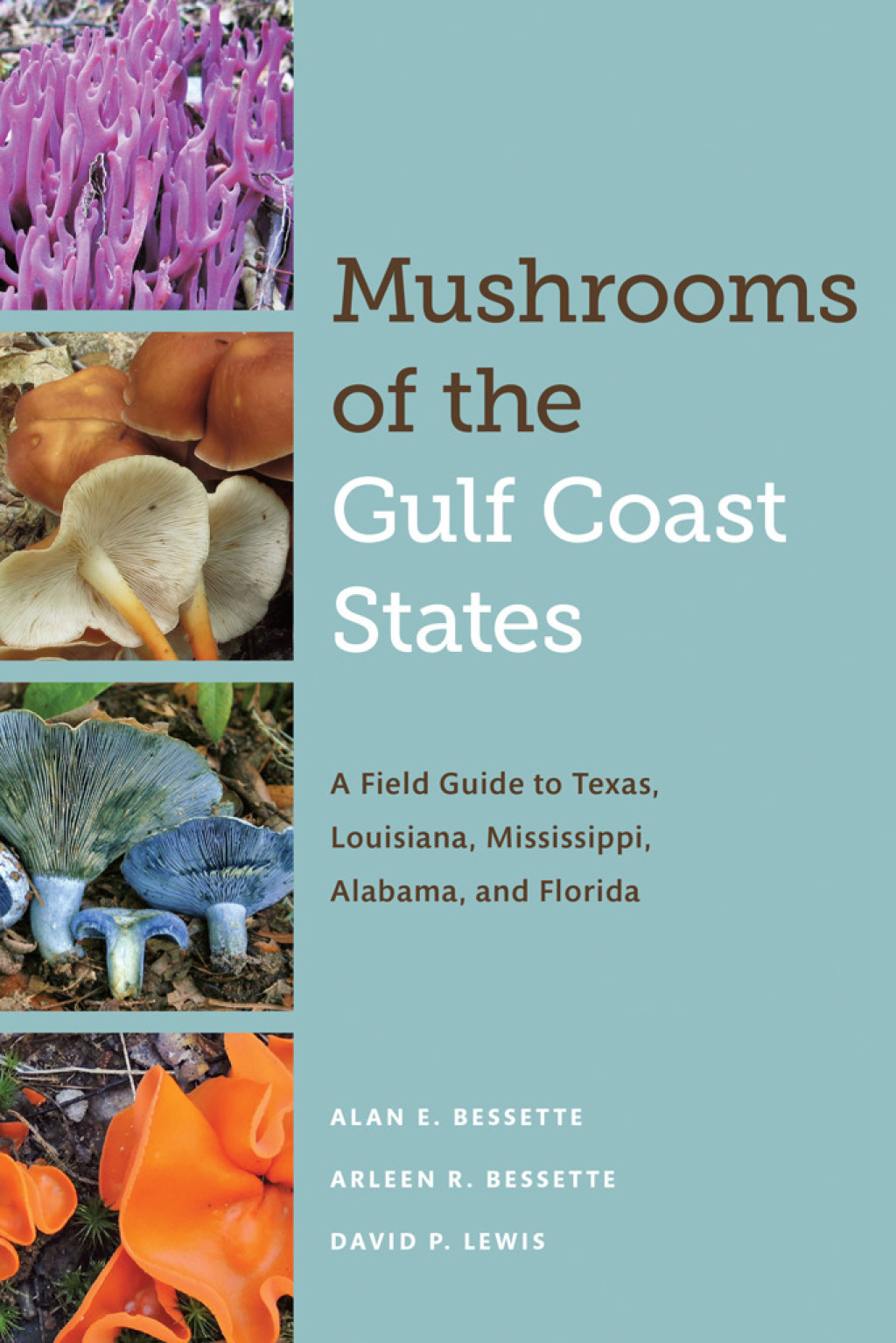 Mushrooms of the Gulf Coast States A Field Guide to Texas, Louisiana, Mississippi, Alabama, and Florida  â€“ PDF/EPUB Version Downloadable