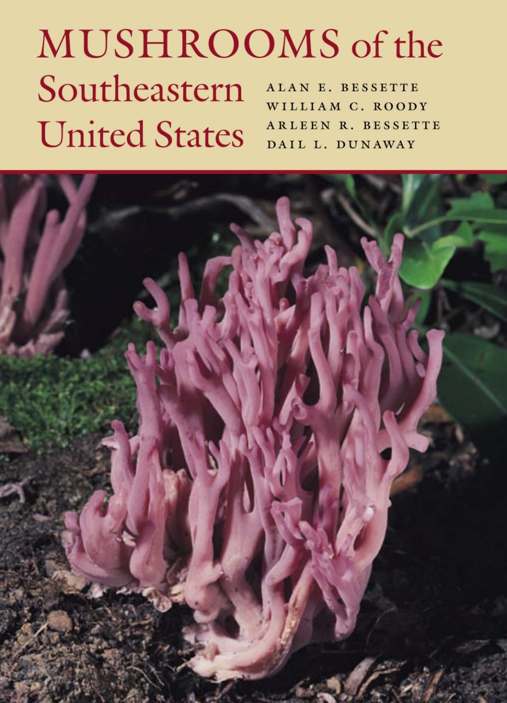 Mushrooms of the Southeastern United States  â€“ PDF/EPUB Version Downloadable