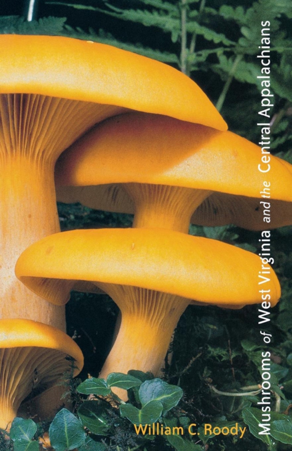 Mushrooms of West Virginia and the Central Appalachians  â€“ PDF/EPUB Version Downloadable