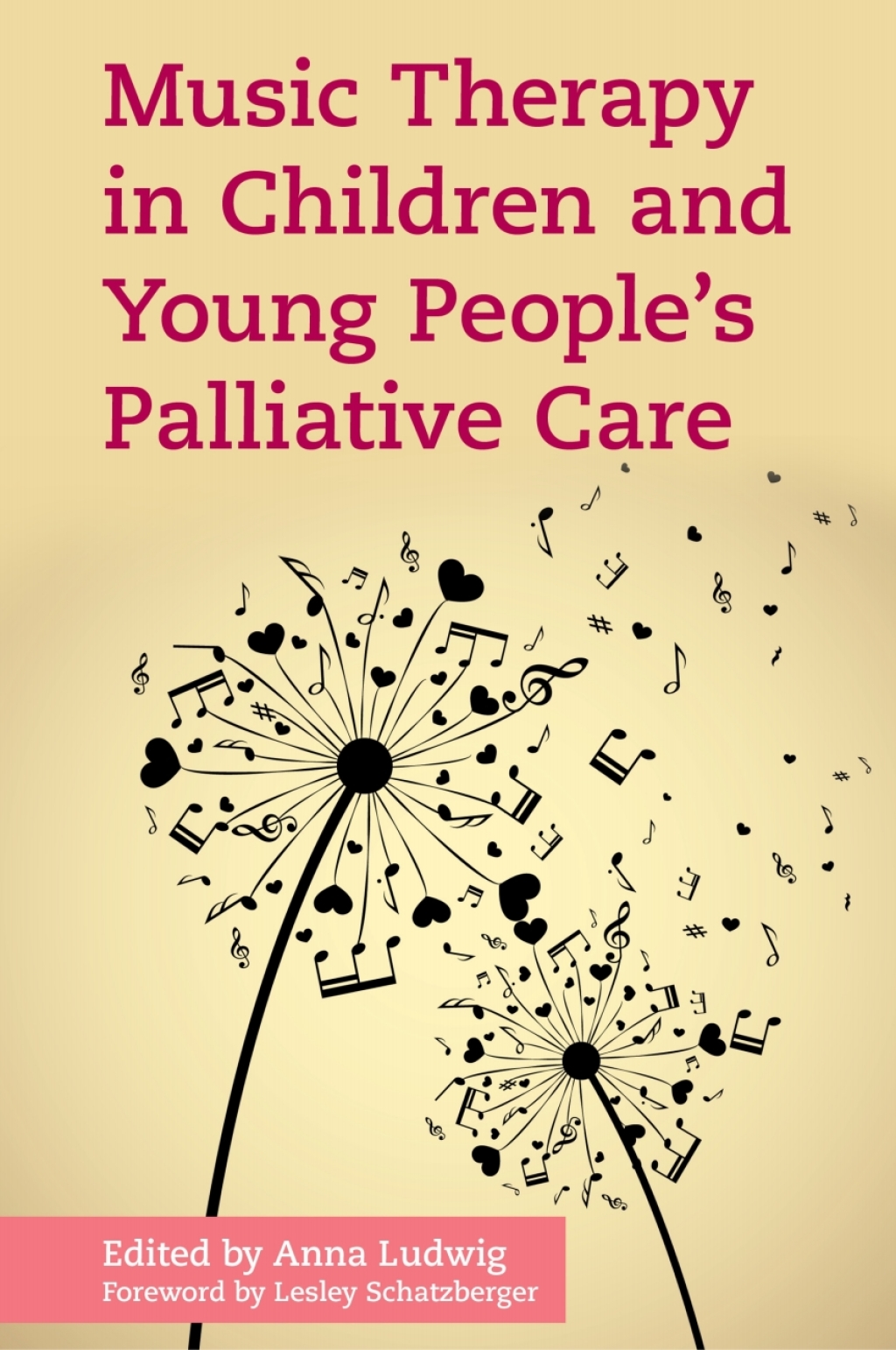 Music Therapy in Children and Young People's Palliative Care  â€“ PDF/EPUB Version Downloadable