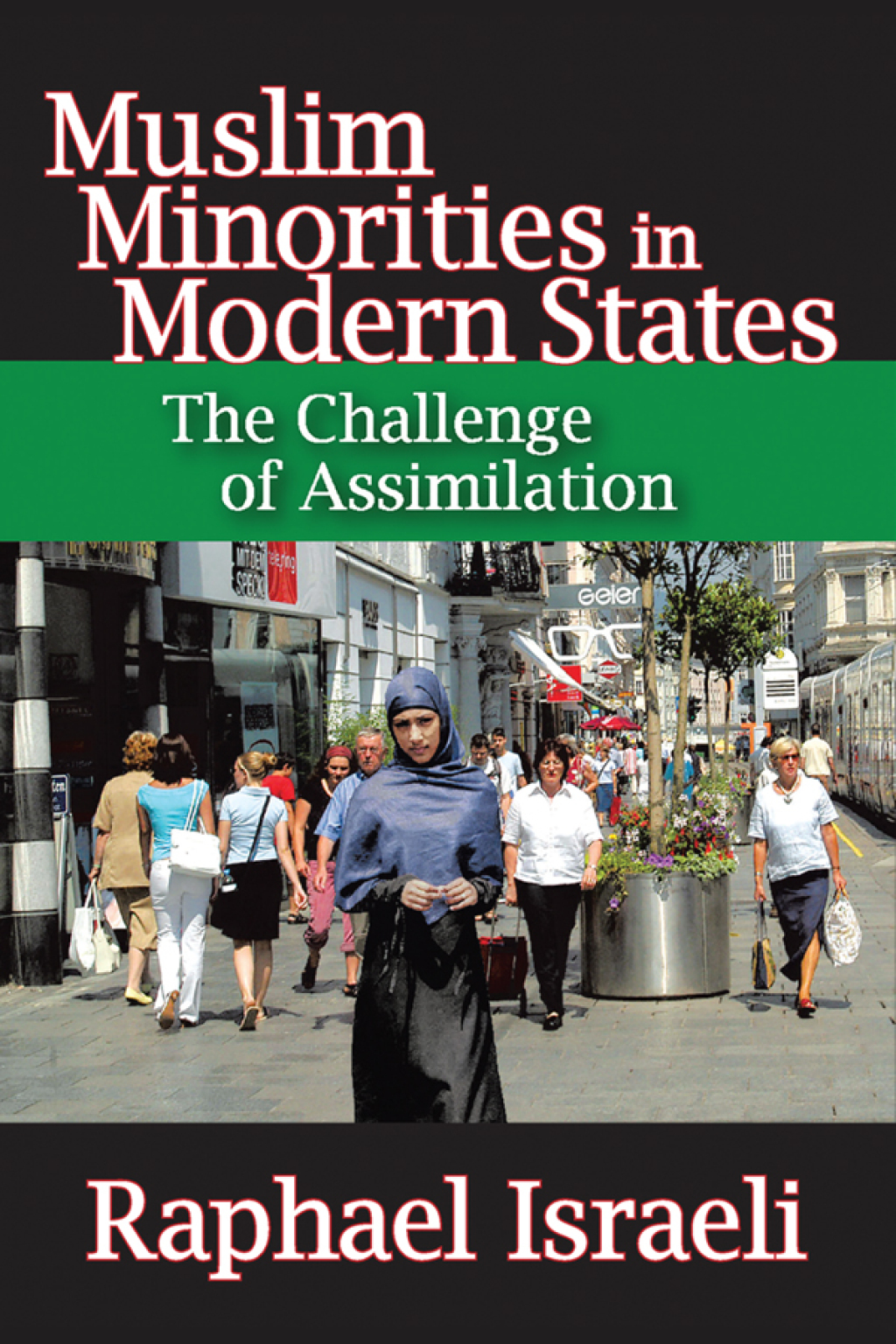 Muslim Minorities in Modern States The Challenge of Assimilation 1st Edition â€“ PDF/EPUB Version Downloadable
