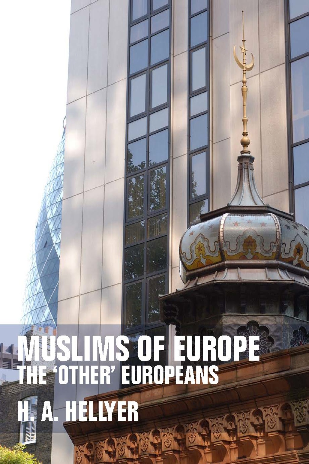 Muslims of Europe: The 'Other' Europeans  â€“ PDF/EPUB Version Downloadable