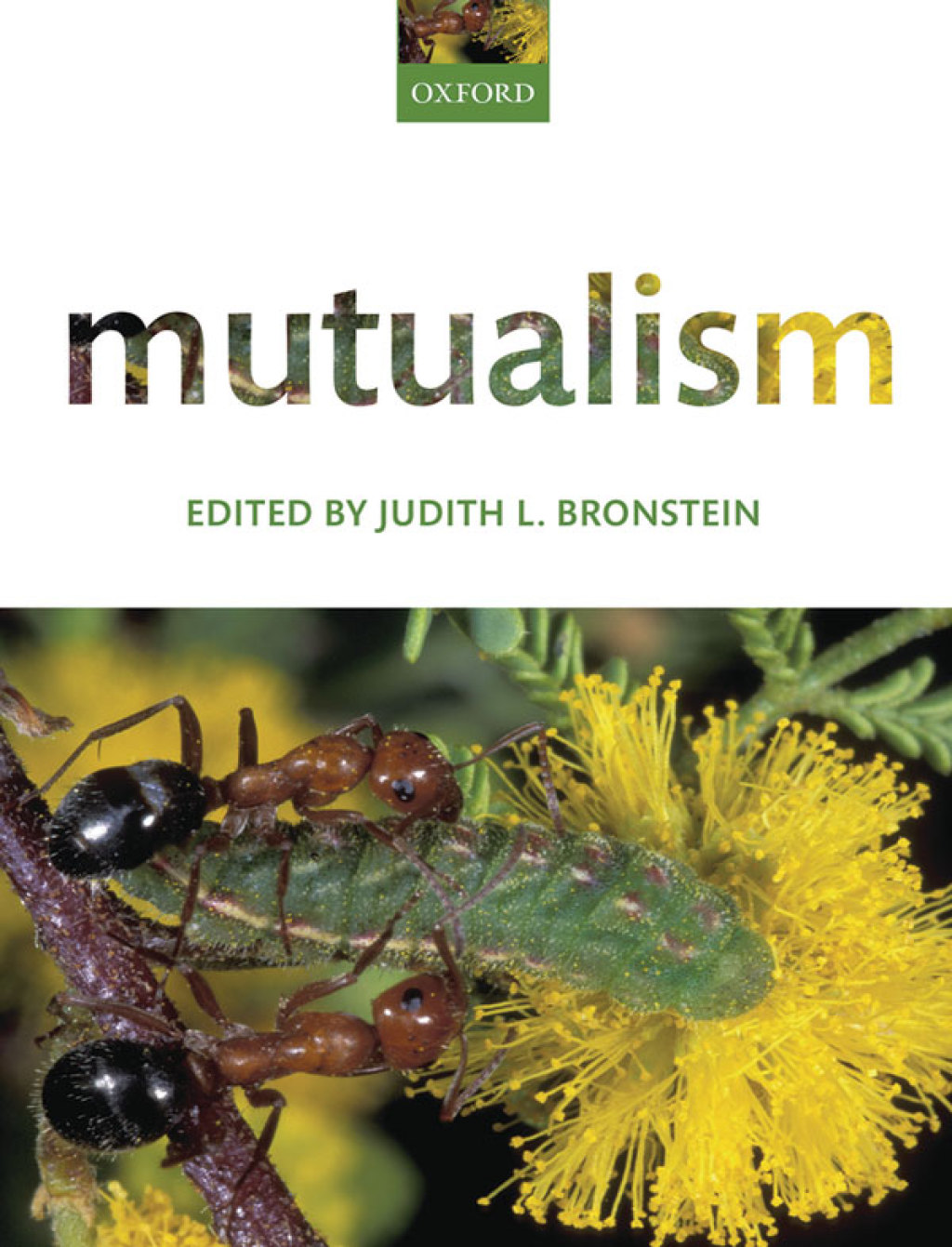 Mutualism 1st Edition â€“ PDF/EPUB Version Downloadable