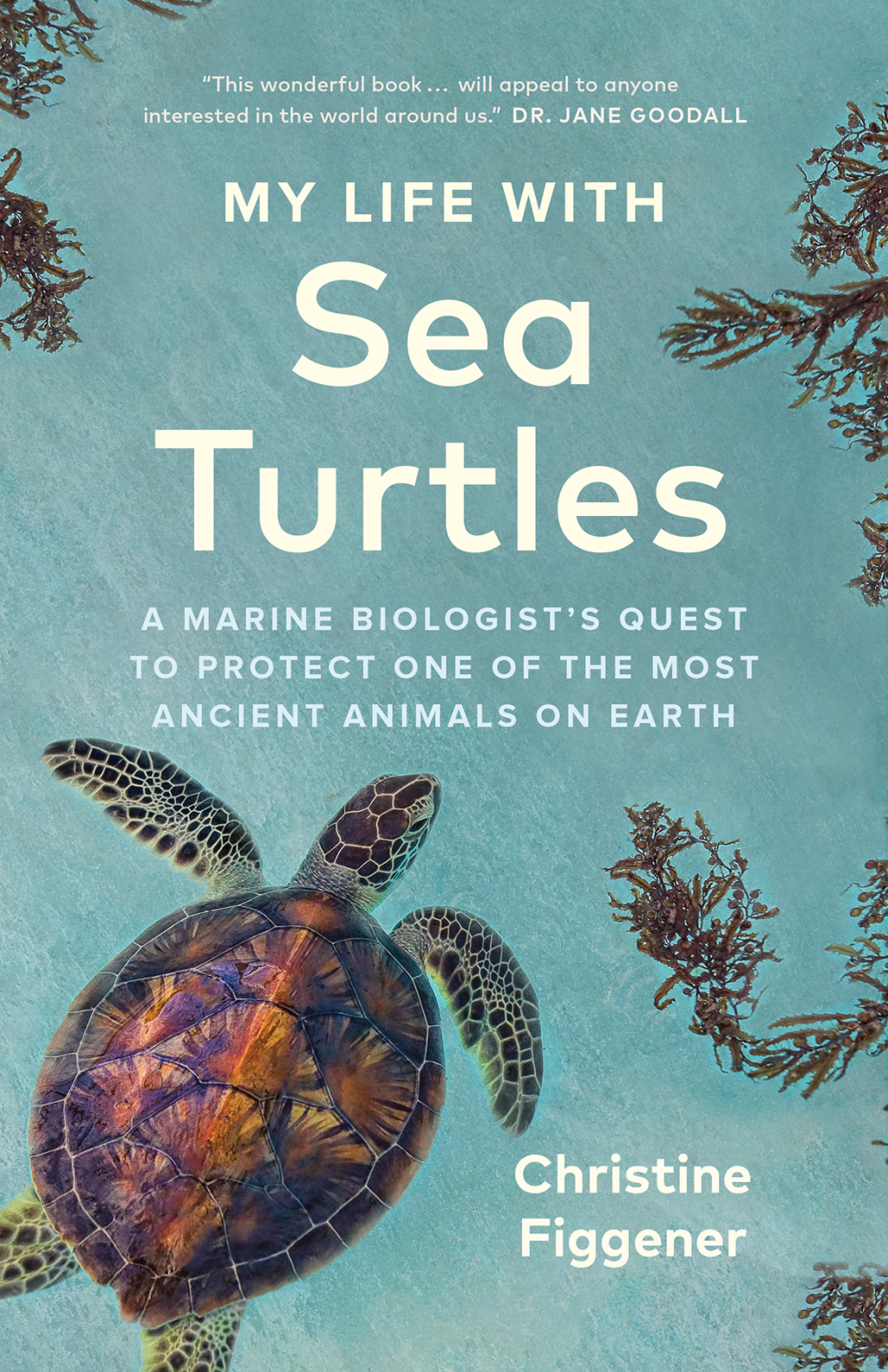 My Life with Sea Turtles A Marine Biologistâ€™s Quest to Protect One of the Most Ancient Animals on Earth - (PDF/EPUB Version)