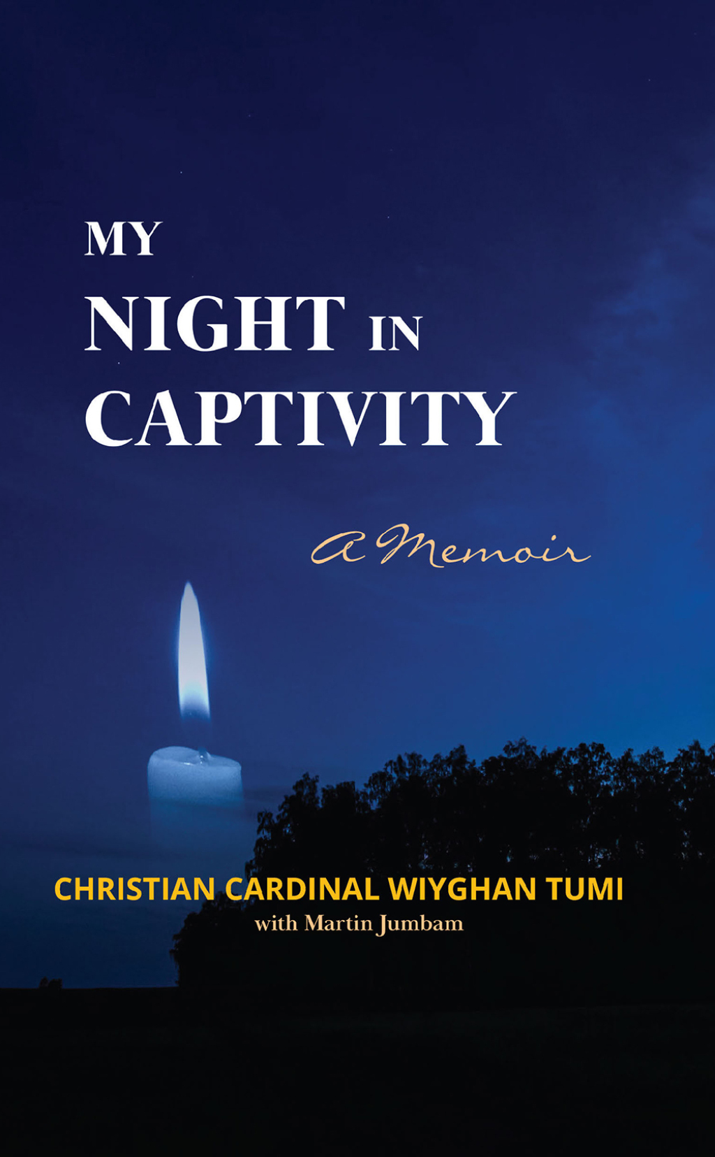 My Night in Captivity 1st Edition â€“ PDF/EPUB Version Downloadable