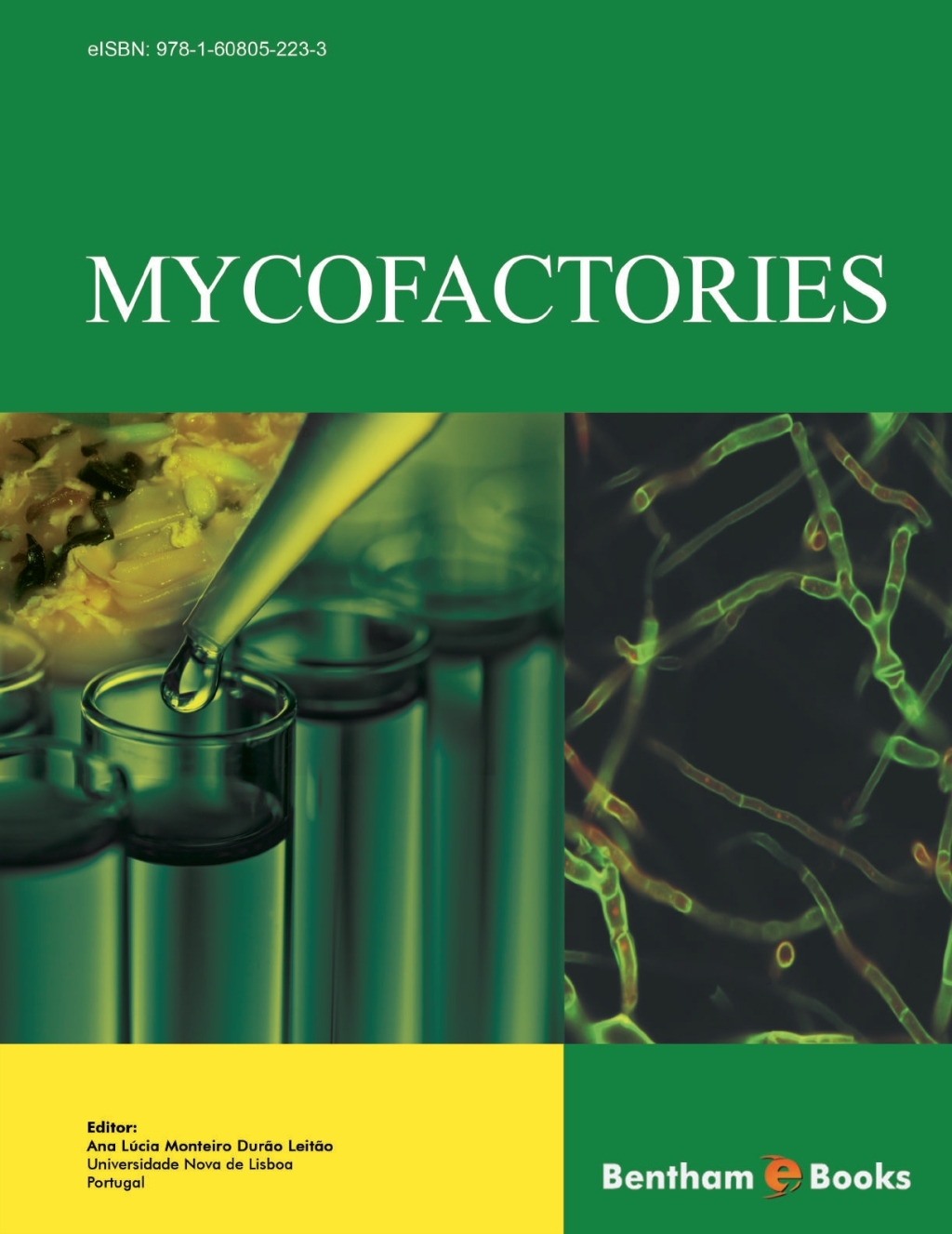 Mycofactories 1st Edition â€“ PDF/EPUB Version Downloadable
