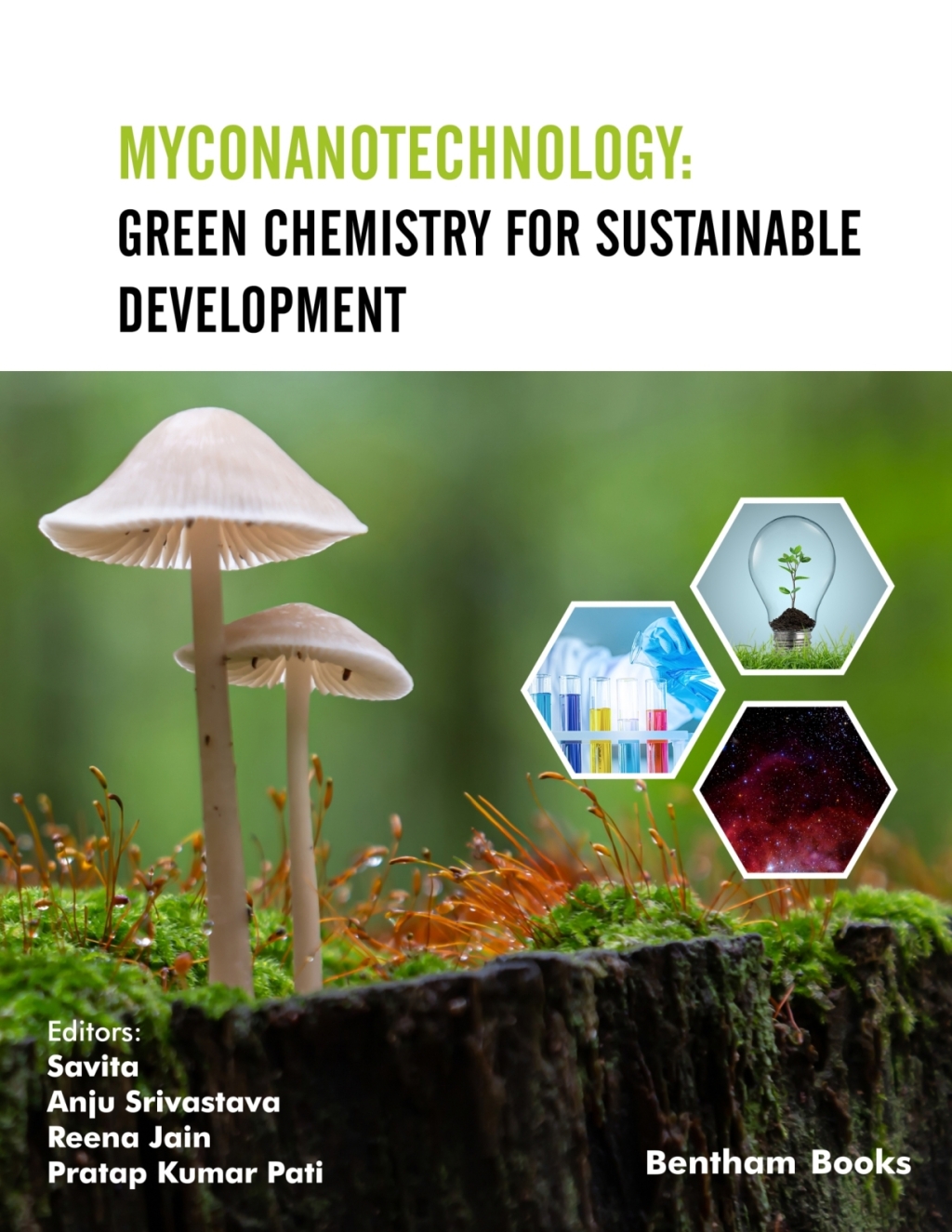 Myconanotechnology: Green Chemistry for Sustainable Development 1st Edition â€“ PDF/EPUB Version Downloadable