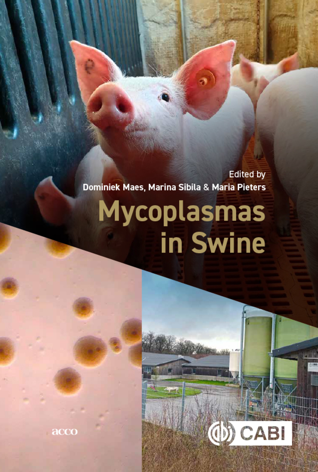 Mycoplasmas in Swine  â€“ PDF/EPUB Version Downloadable