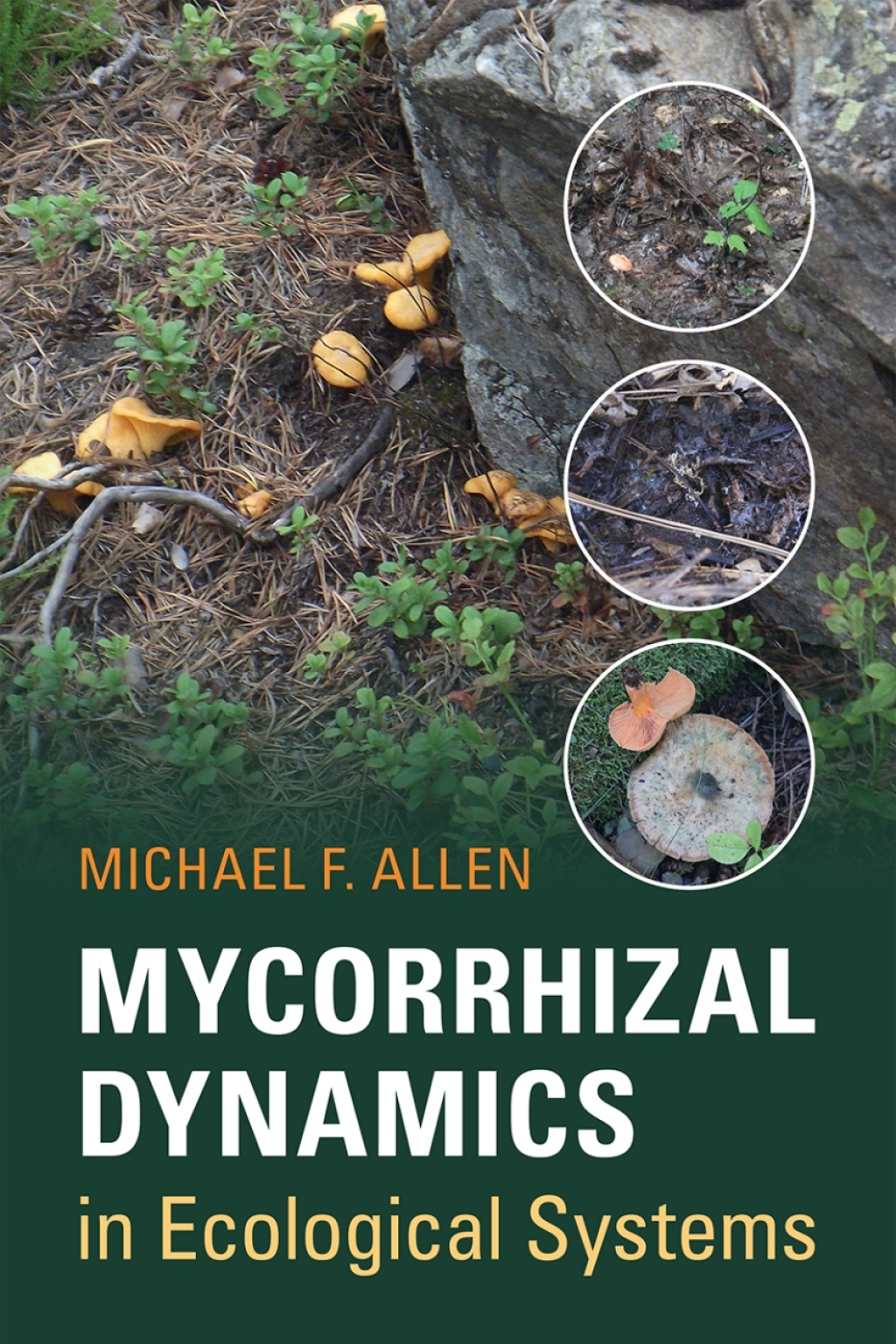 Mycorrhizal Dynamics in Ecological Systems  â€“ PDF/EPUB Version Downloadable