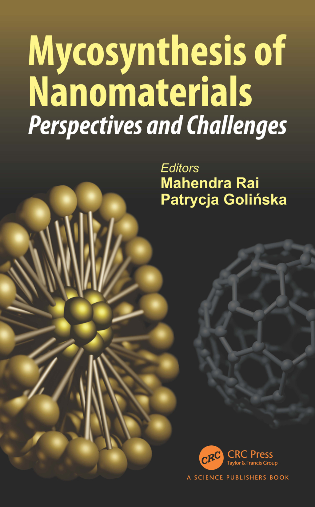 Mycosynthesis of Nanomaterials Perspectives and Challenges 1st Edition â€“ PDF/EPUB Version Downloadable