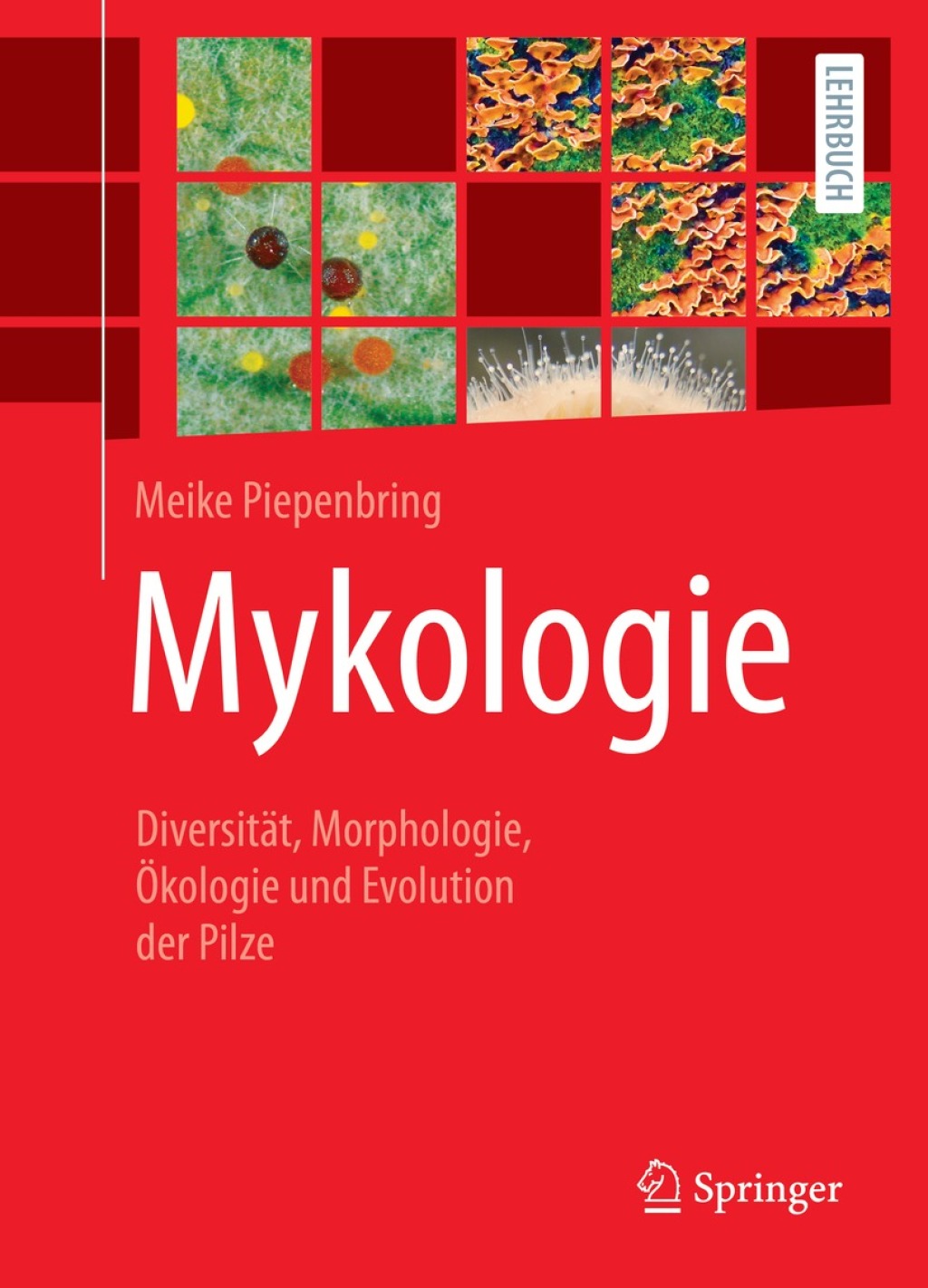 Mykologie DiversitÃ¤t, Morphologie, Ã–kologie und Evolution der Pilze  â€“ PDF/EPUB Version Downloadable