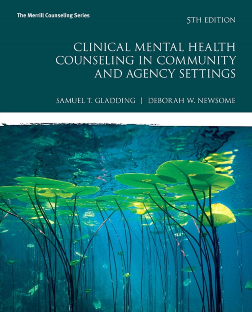 MyLab Counseling with Pearson eText Access Code for Clinical Mental Health Counseling in Community and Agency Settings 5th Edition â€“ PDF/EPUB Version Downloadable