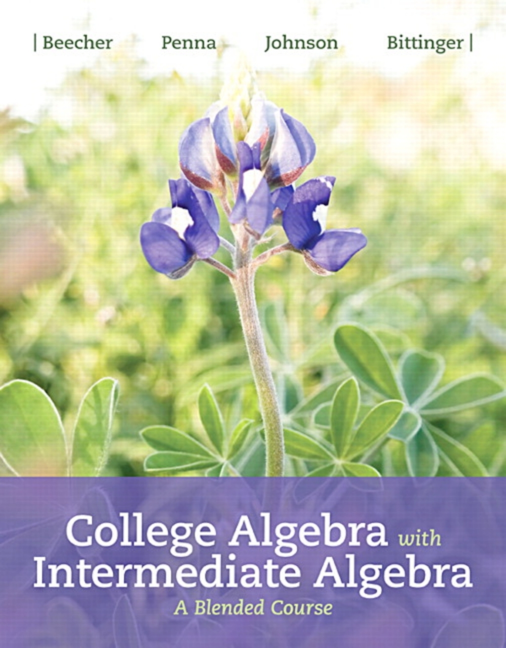 MyLab Math with Pearson eText Access Code (18 Weeks) for College Algebra with Intermediate Algebra: A Blended Course 1st Edition â€“ PDF/EPUB Version Downloadable