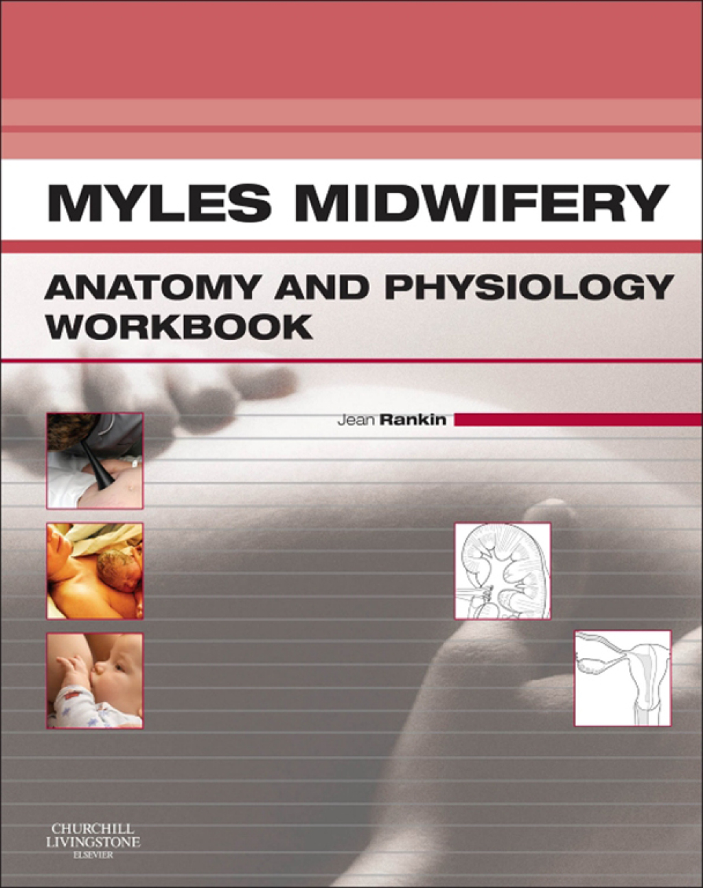 Myles Midwifery A&P Colouring Workbook - (PDF/EPUB Version)