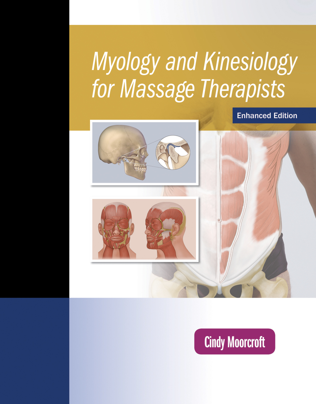 Myology and Kinesiology for Massage Therapists  â€“ PDF/EPUB Version Downloadable