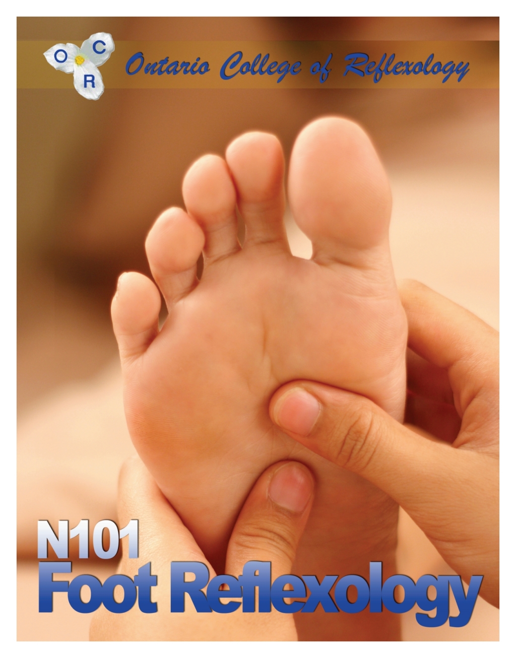 N101 Foot Reflexology 3rd Edition â€“ PDF/EPUB Version Downloadable