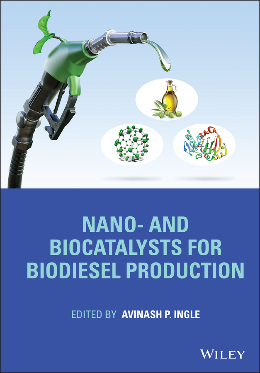 Nano- and Biocatalysts for Biodiesel Production 1st Edition â€“ PDF/EPUB Version Downloadable