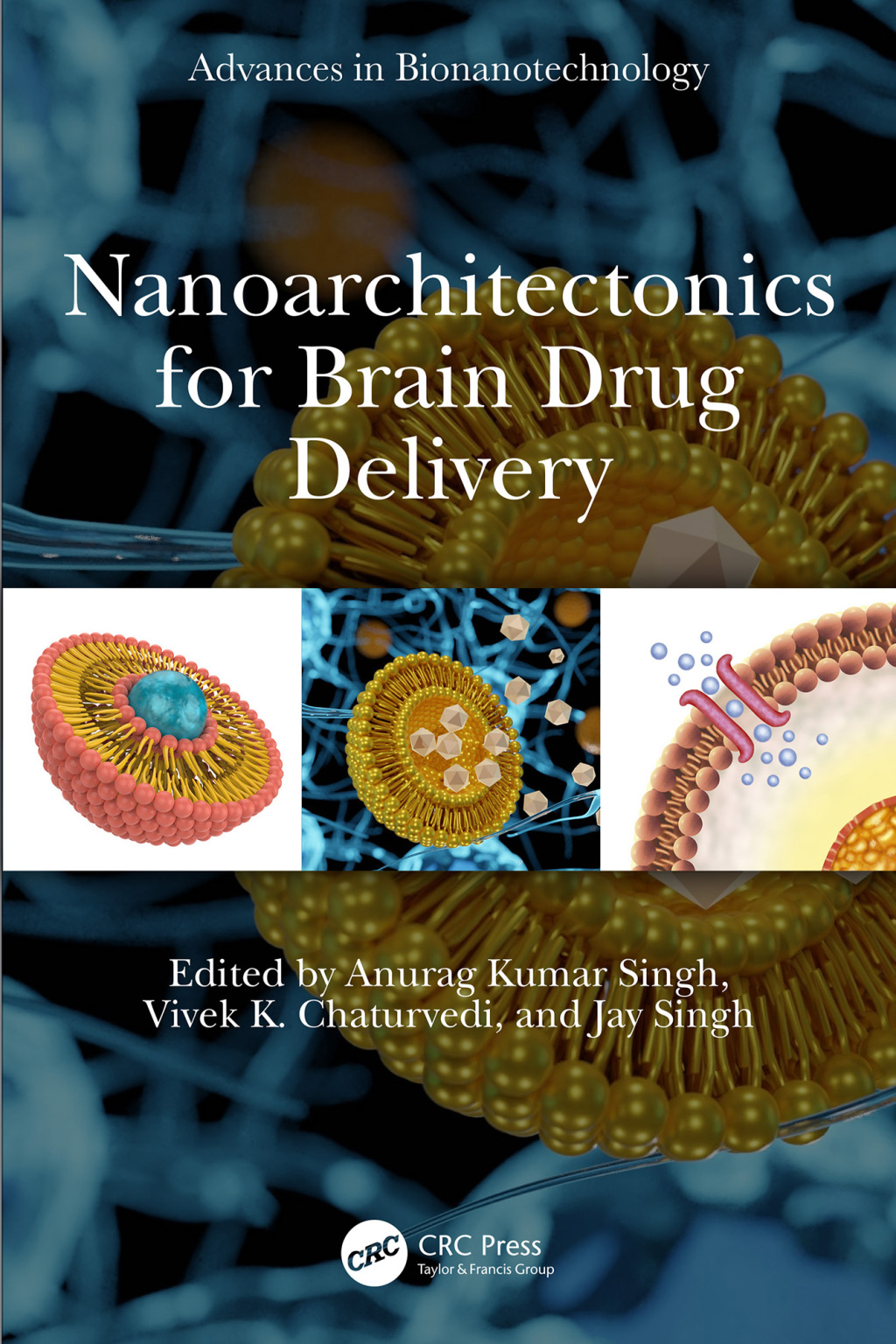 Nanoarchitectonics for Brain Drug Delivery 1st Edition â€“ PDF/EPUB Version Downloadable