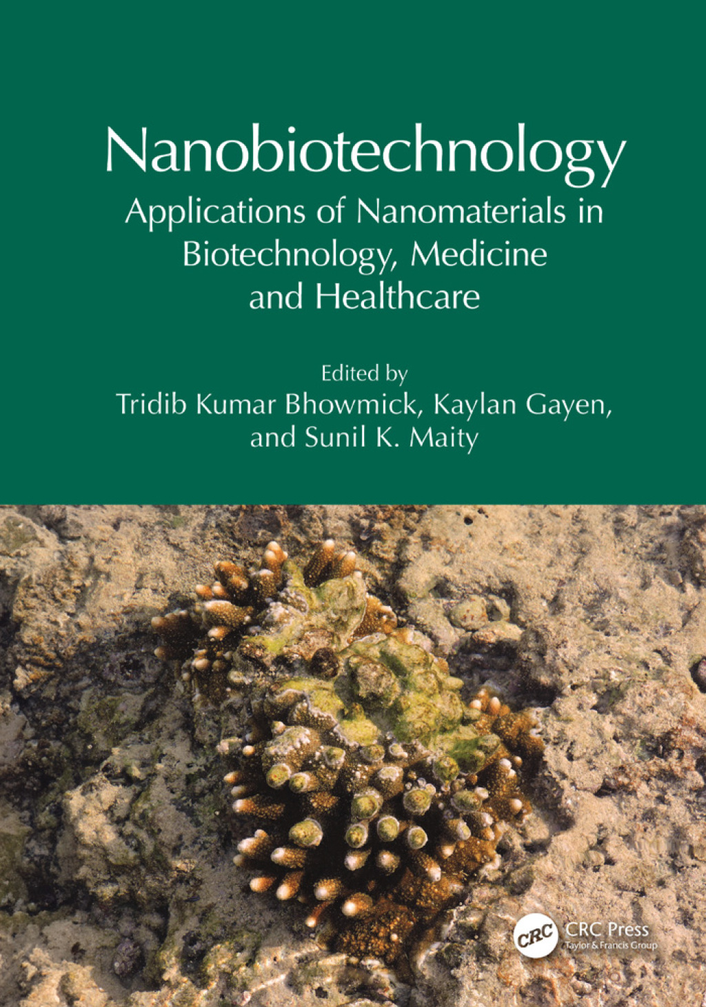 Nanobiotechnology Applications of Nanomaterials in Biotechnology, Medicine and Healthcare 1st Edition â€“ PDF/EPUB Version Downloadable