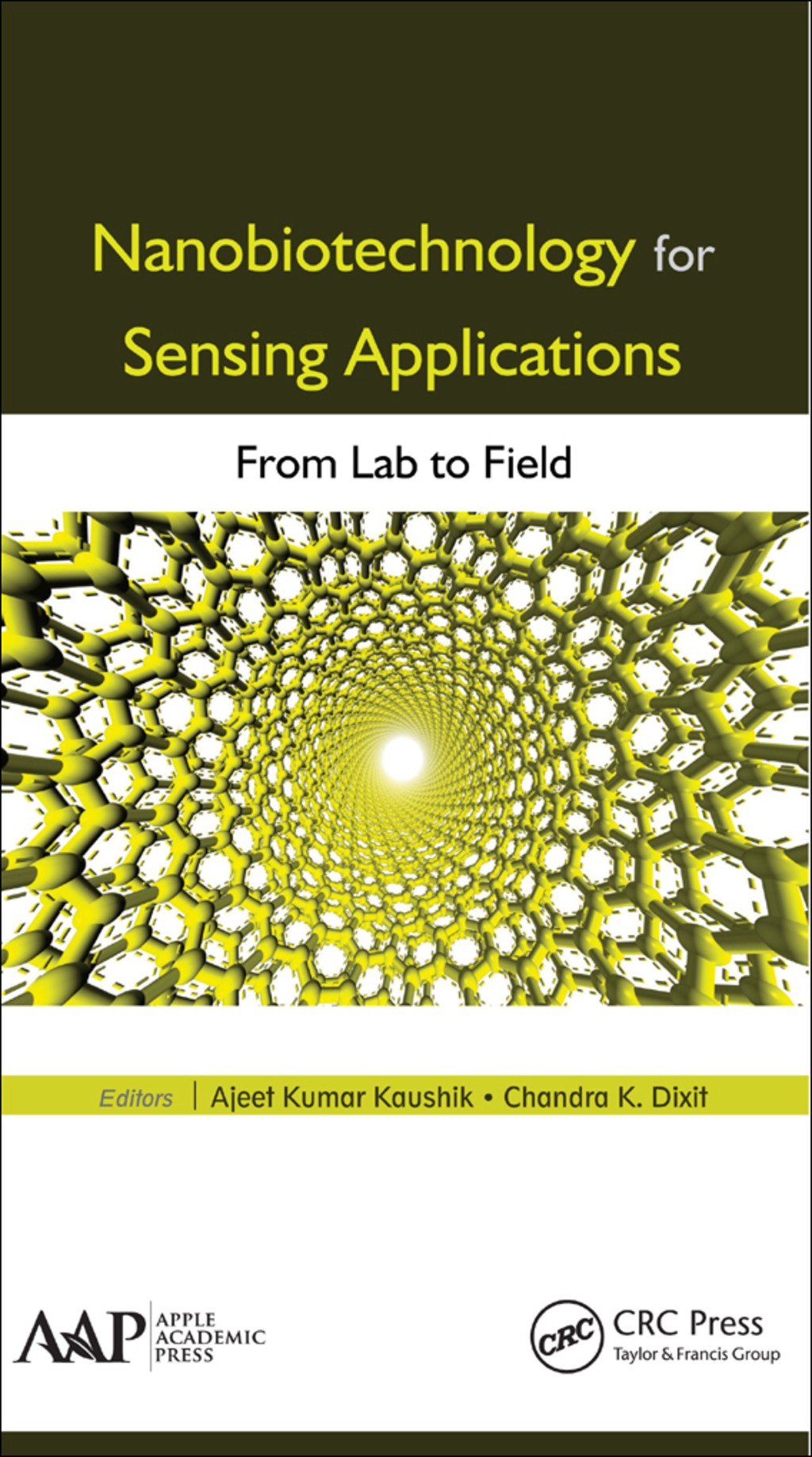 Nanobiotechnology for Sensing Applications From Lab to Field 1st Edition â€“ PDF/EPUB Version Downloadable