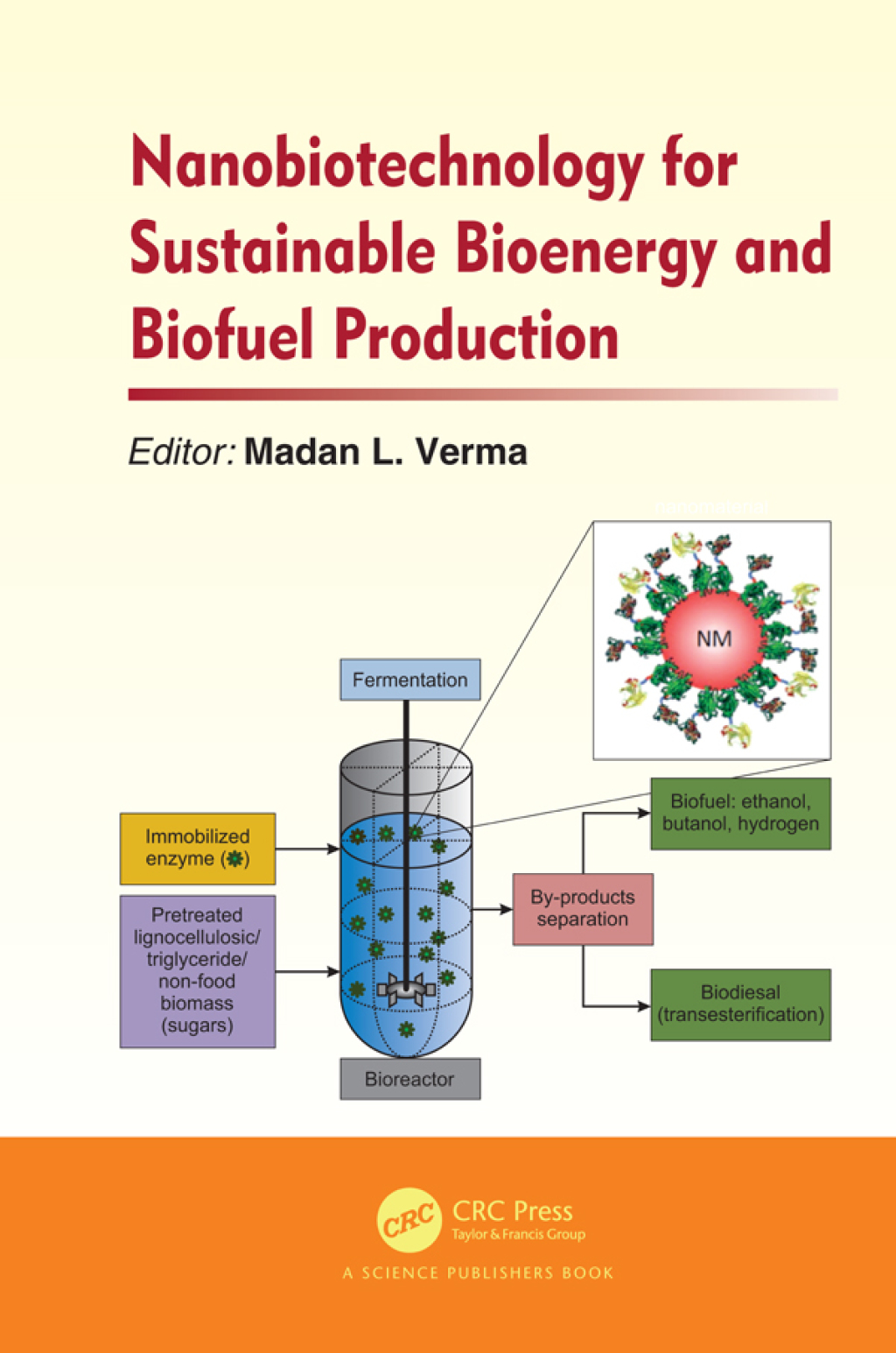 Nanobiotechnology for Sustainable Bioenergy and Biofuel Production 1st Edition â€“ PDF/EPUB Version Downloadable