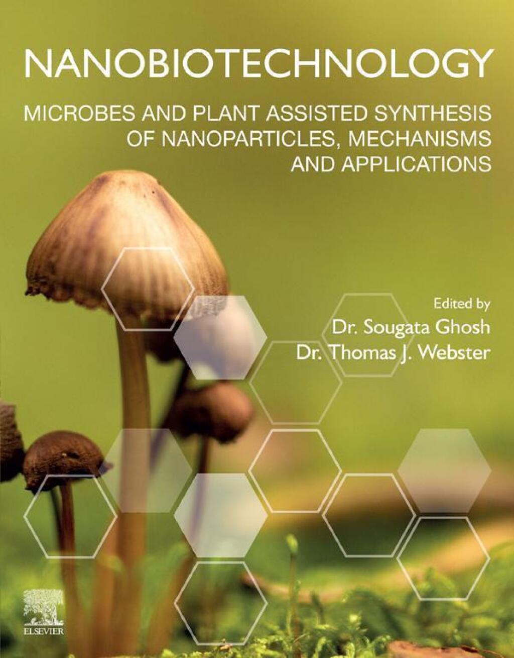 Nanobiotechnology Microbes and Plant Assisted Synthesis of Nanoparticles, Mechanisms and Applications  â€“ PDF/EPUB Version Downloadable
