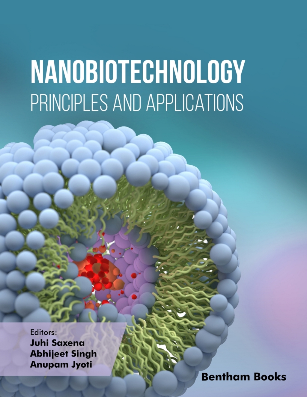 Nanobiotechnology: Principles and Applications 1st Edition â€“ PDF/EPUB Version Downloadable
