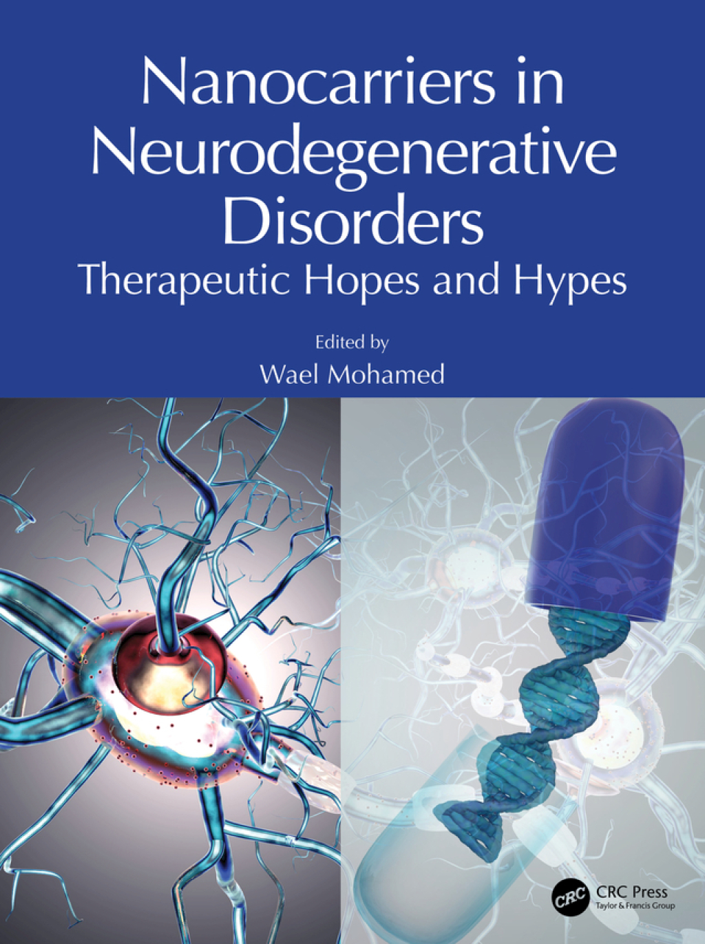 Nanocarriers in Neurodegenerative Disorders Therapeutic Hopes and Hypes 1st Edition â€“ PDF/EPUB Version Downloadable