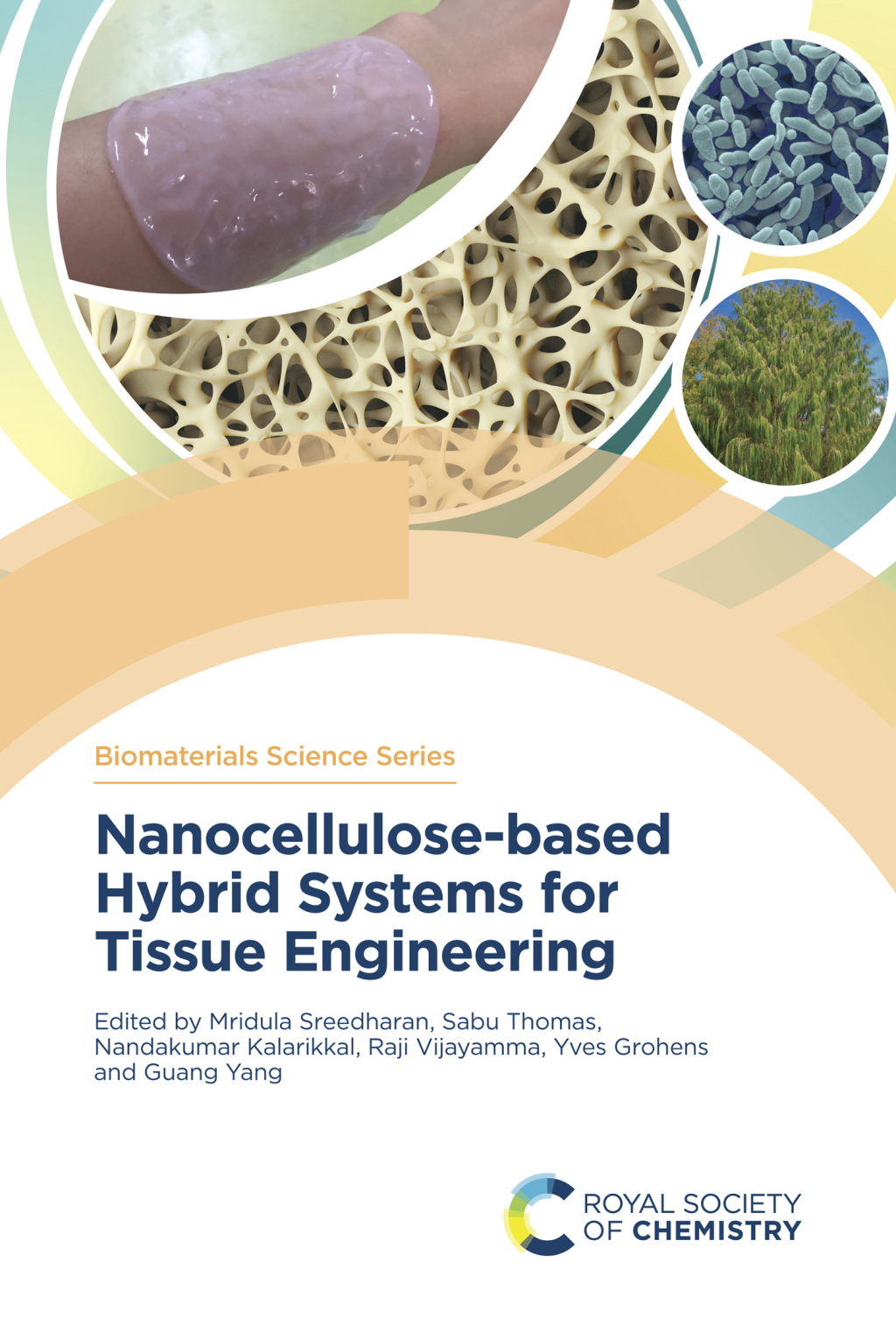 Nanocellulose-based Hybrid Systems for Tissue Engineering 1st Edition â€“ PDF/EPUB Version Downloadable