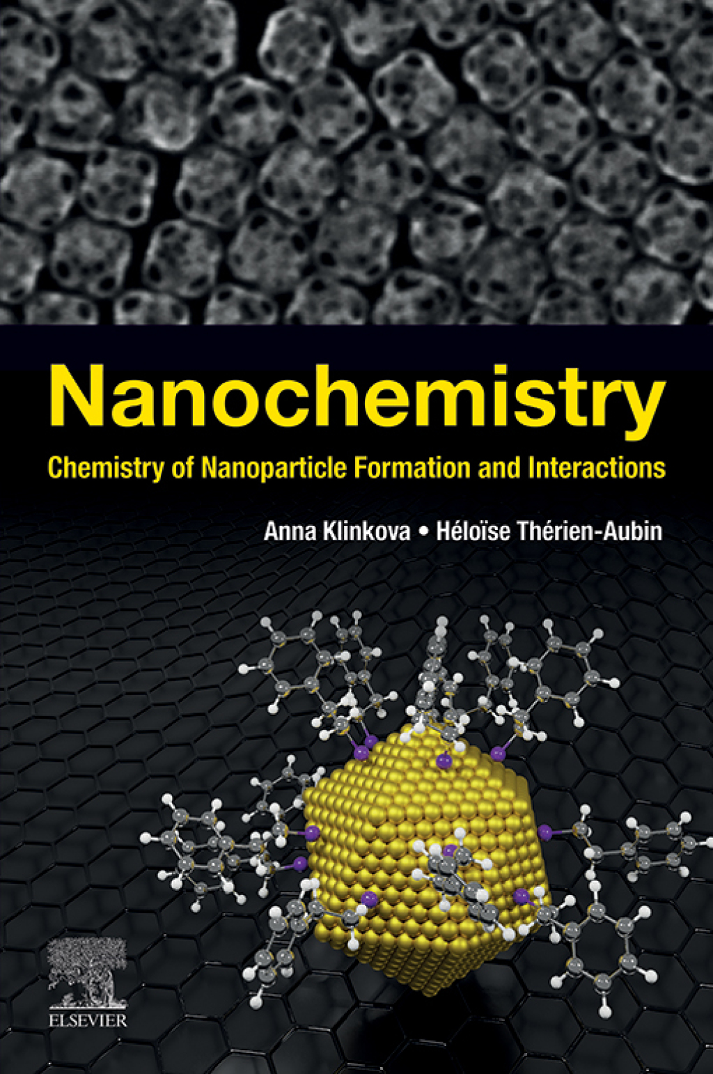 Nanochemistry Chemistry Of Nanoparticle Formation And Interactions 1st Edition â€“ PDF/EPUB Version Downloadable
