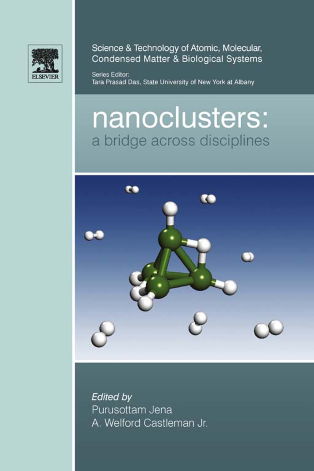 Nanoclusters  â€“ PDF/EPUB Version Downloadable