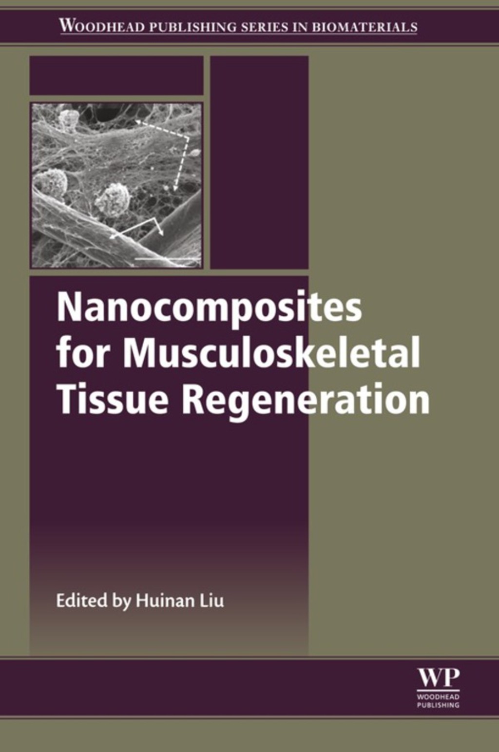 Nanocomposites for Musculoskeletal Tissue Regeneration  â€“ PDF/EPUB Version Downloadable