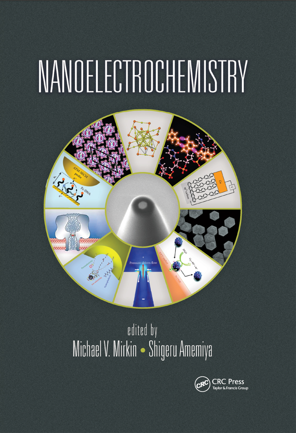 Nanoelectrochemistry 1st Edition â€“ PDF/EPUB Version Downloadable