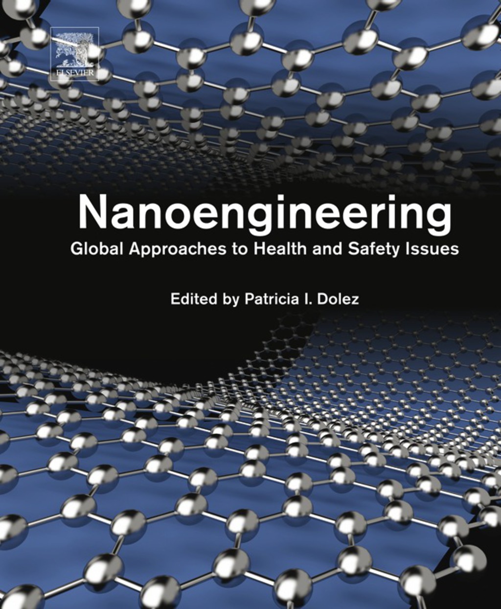 Nanoengineering: Global Approaches to Health and Safety Issues  â€“ PDF/EPUB Version Downloadable