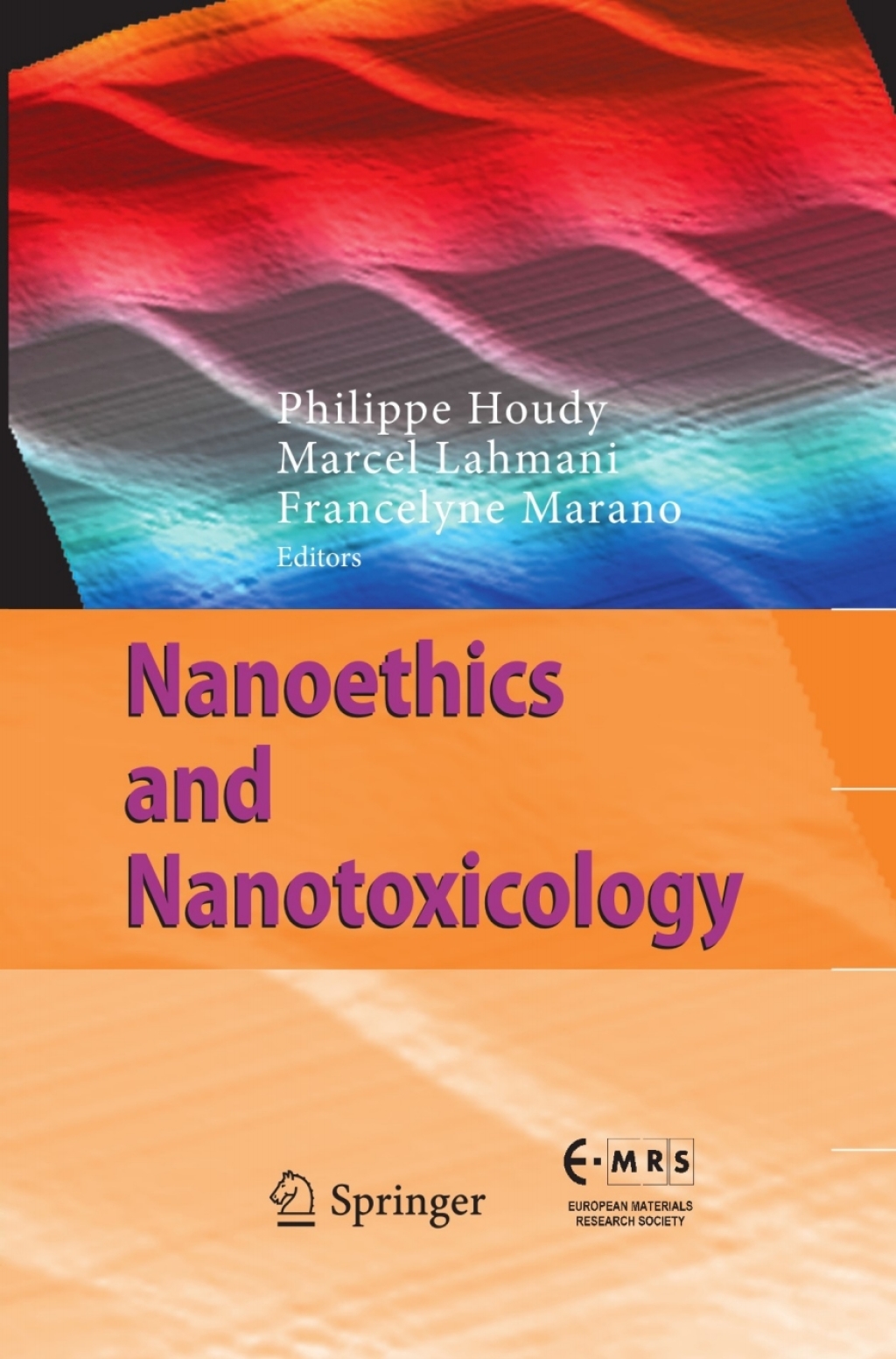 Nanoethics and Nanotoxicology 1st Edition â€“ PDF/EPUB Version Downloadable