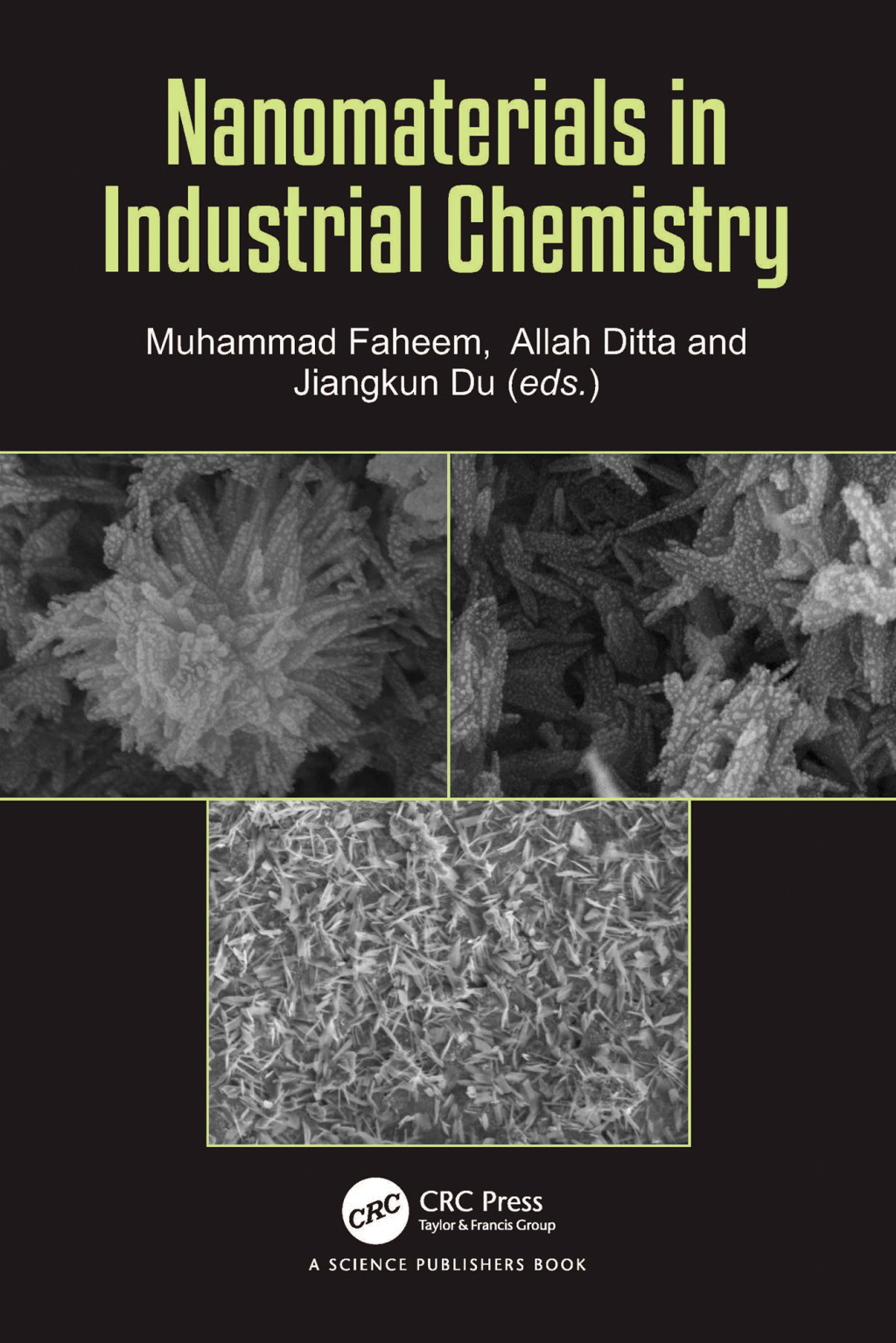 Nanomaterials in Industrial Chemistry 1st Edition â€“ PDF/EPUB Version Downloadable